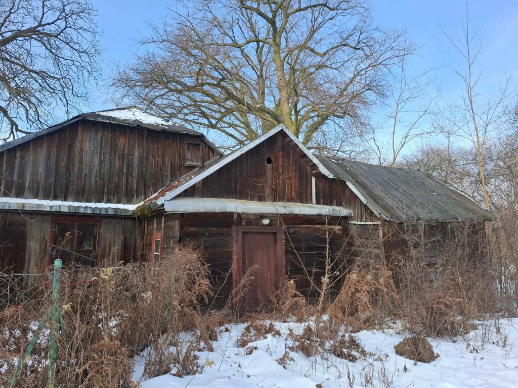 Dwór w Aleksandrówce