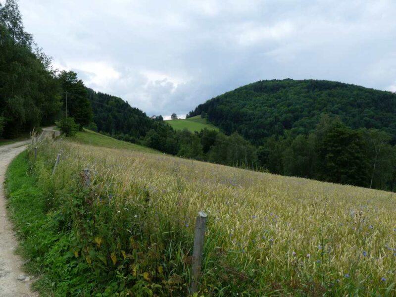 Pasmo Czerszli